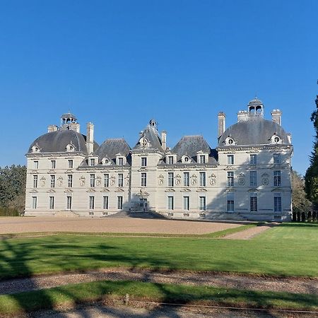 Trainefeuilles - Chambres D'Hotes Proche Zoo De Beauval Le Controis-en-Sologne 外观 照片