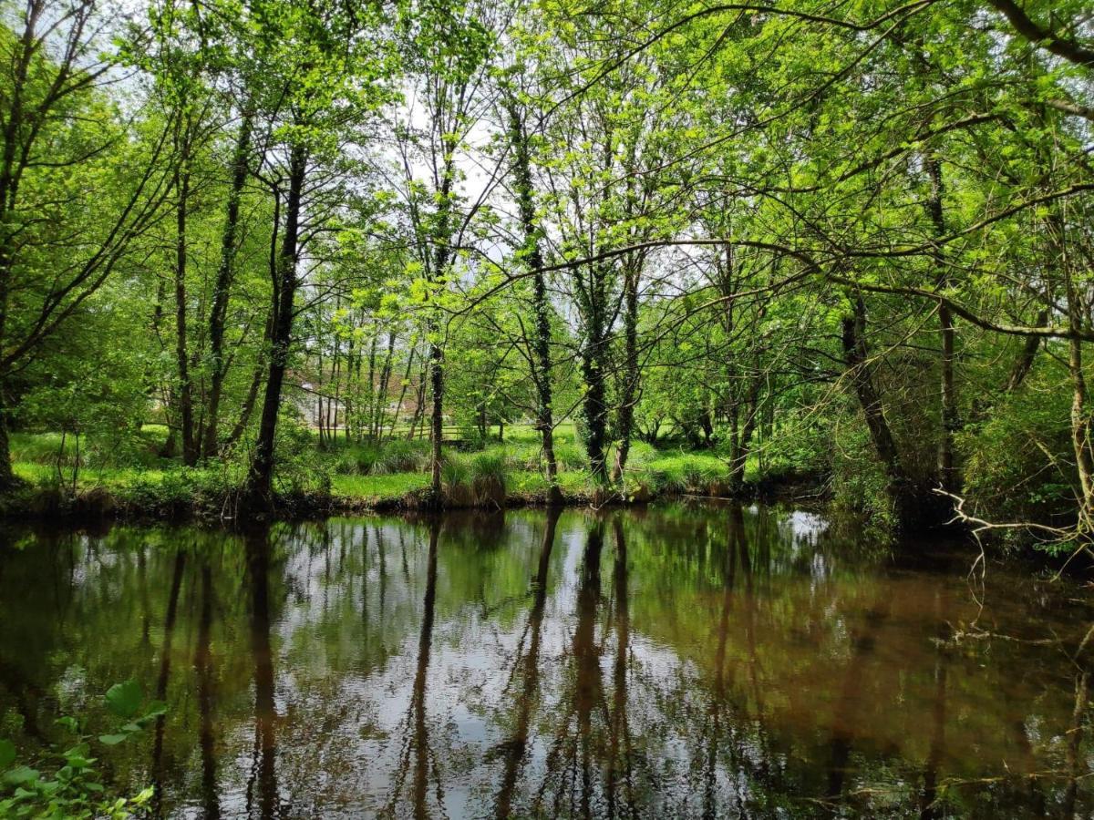 Trainefeuilles - Chambres D'Hotes Proche Zoo De Beauval Le Controis-en-Sologne 外观 照片