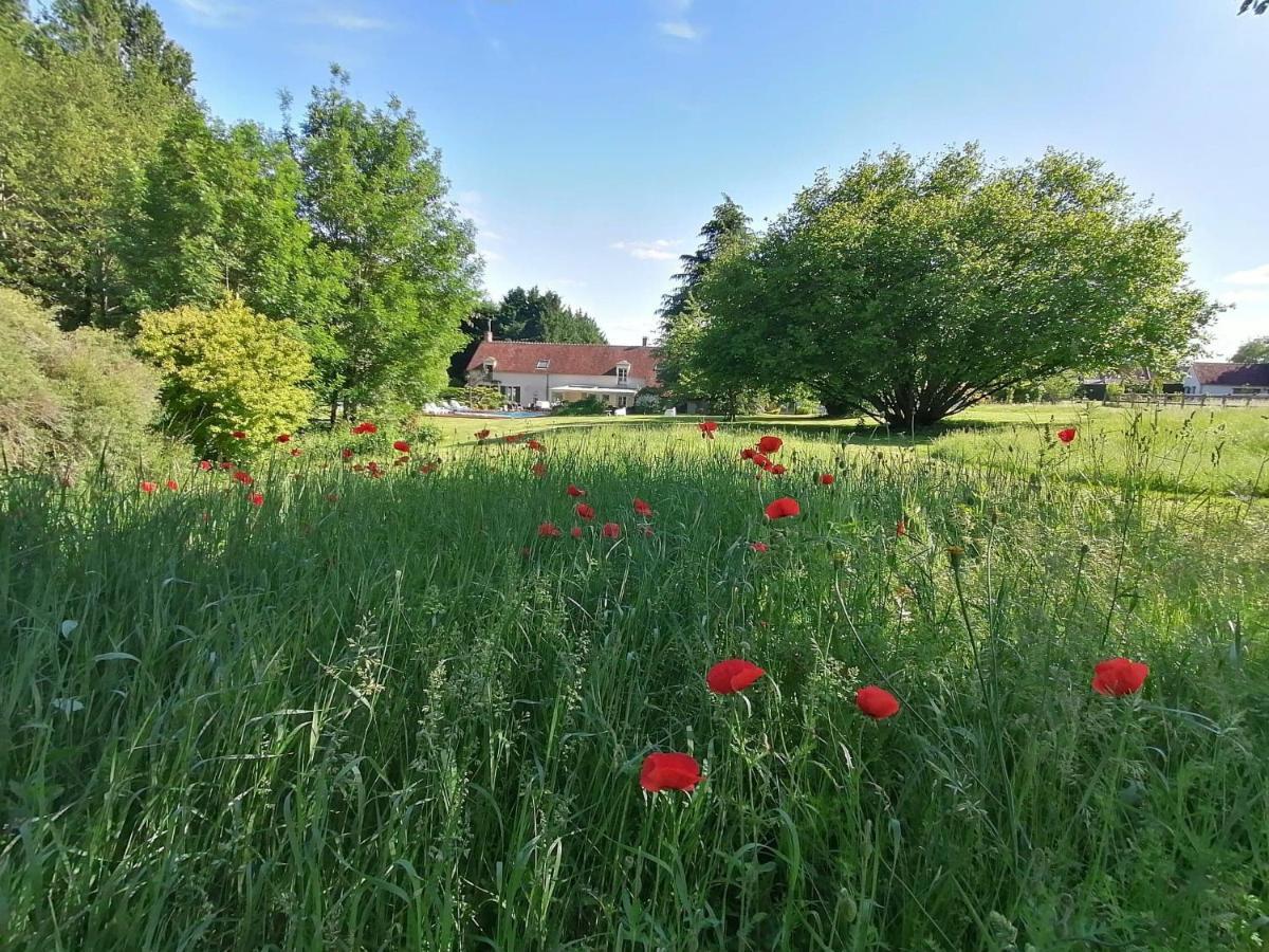 Trainefeuilles - Chambres D'Hotes Proche Zoo De Beauval Le Controis-en-Sologne 外观 照片