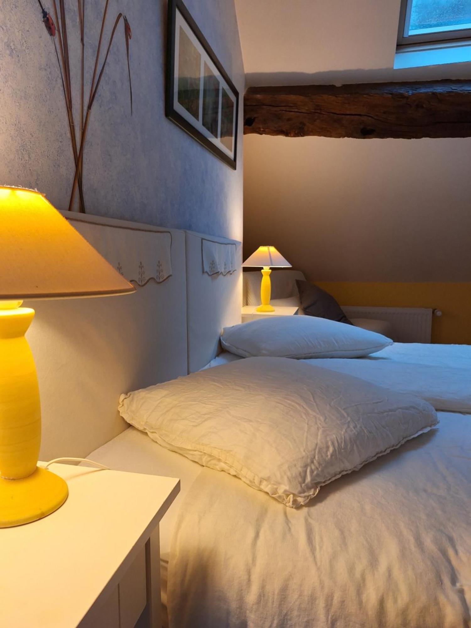 Trainefeuilles - Chambres D'Hotes Proche Zoo De Beauval Le Controis-en-Sologne 外观 照片