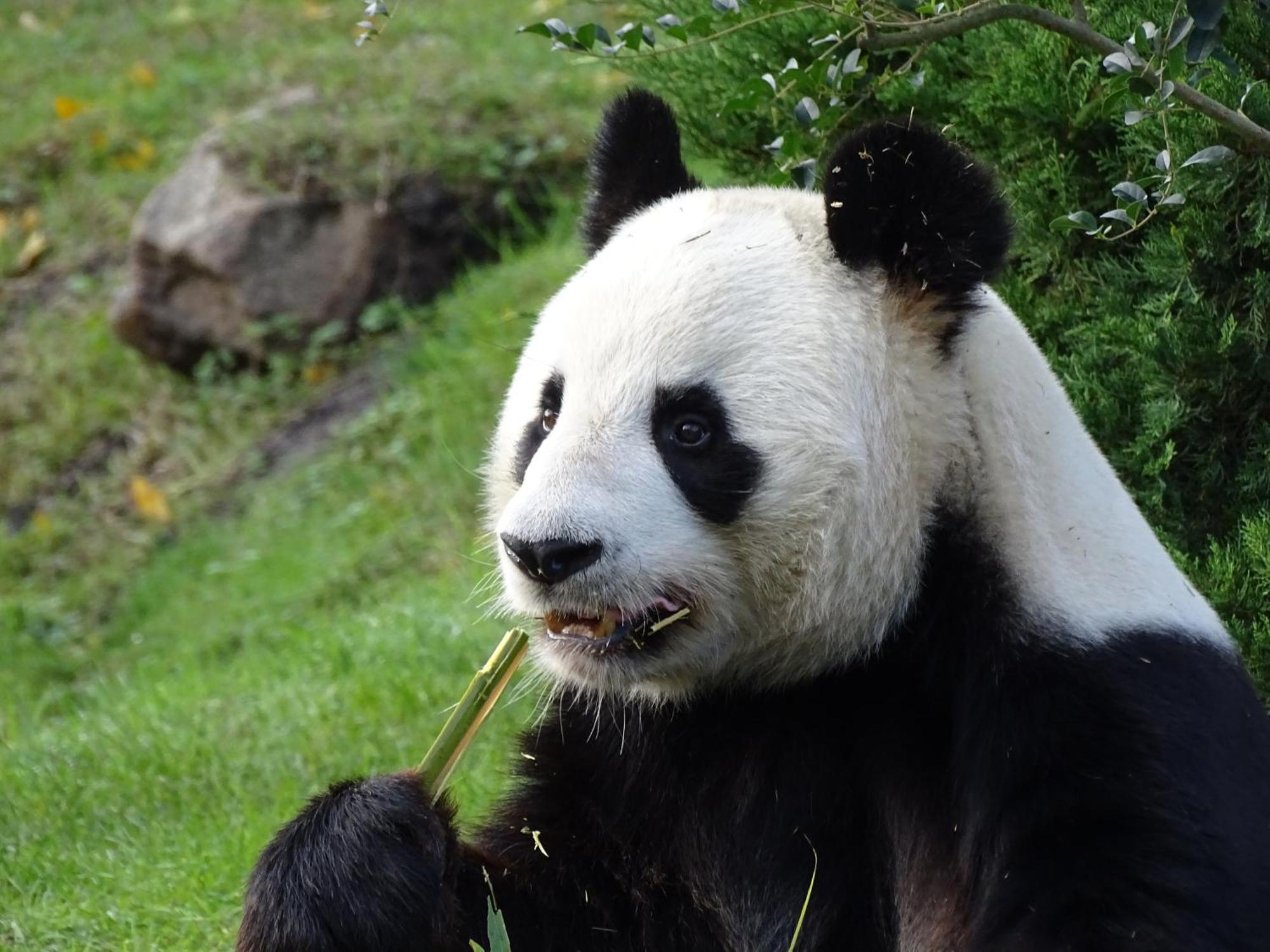 Trainefeuilles - Chambres D'Hotes Proche Zoo De Beauval Le Controis-en-Sologne 外观 照片