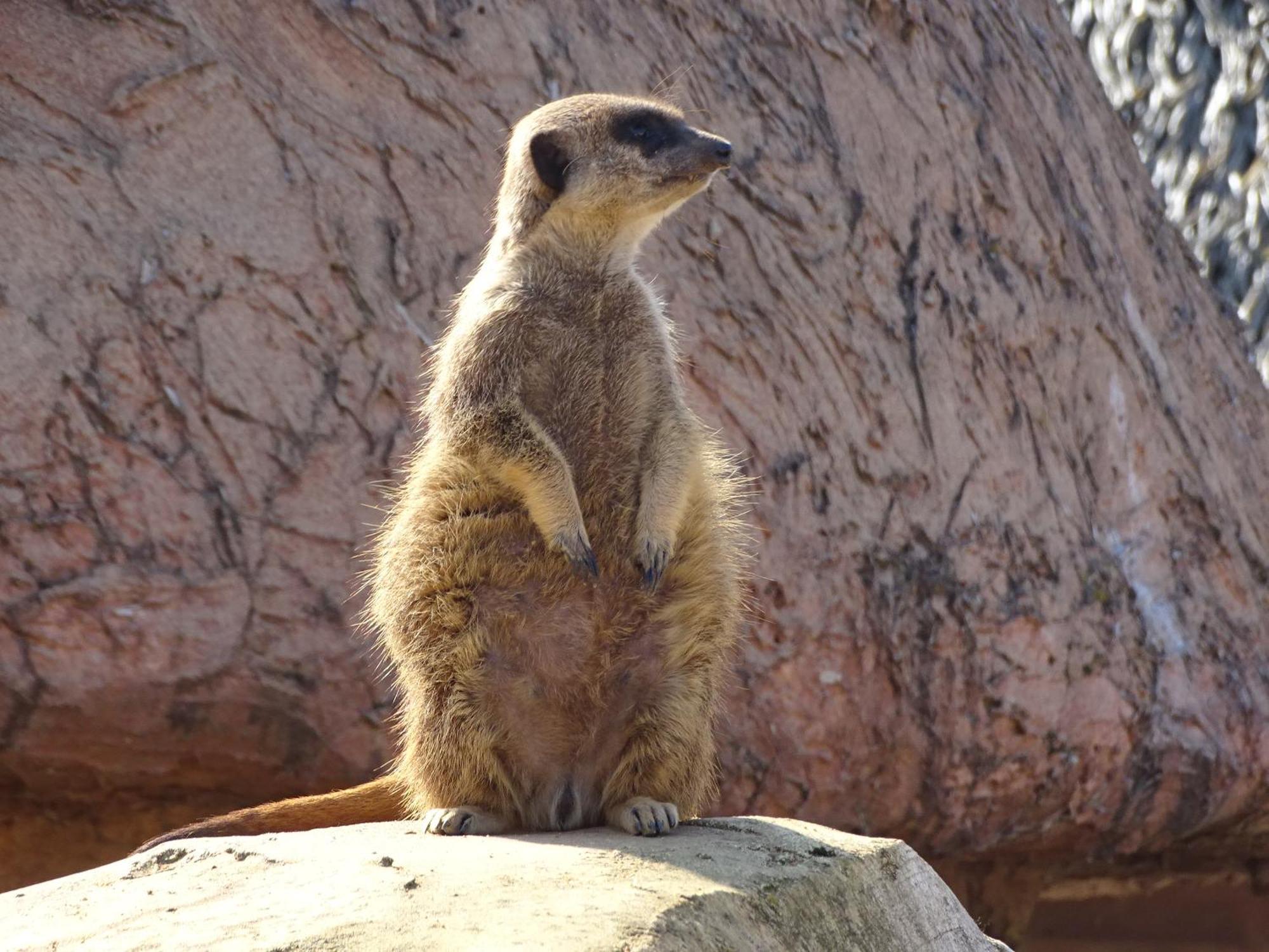 Trainefeuilles - Chambres D'Hotes Proche Zoo De Beauval Le Controis-en-Sologne 外观 照片