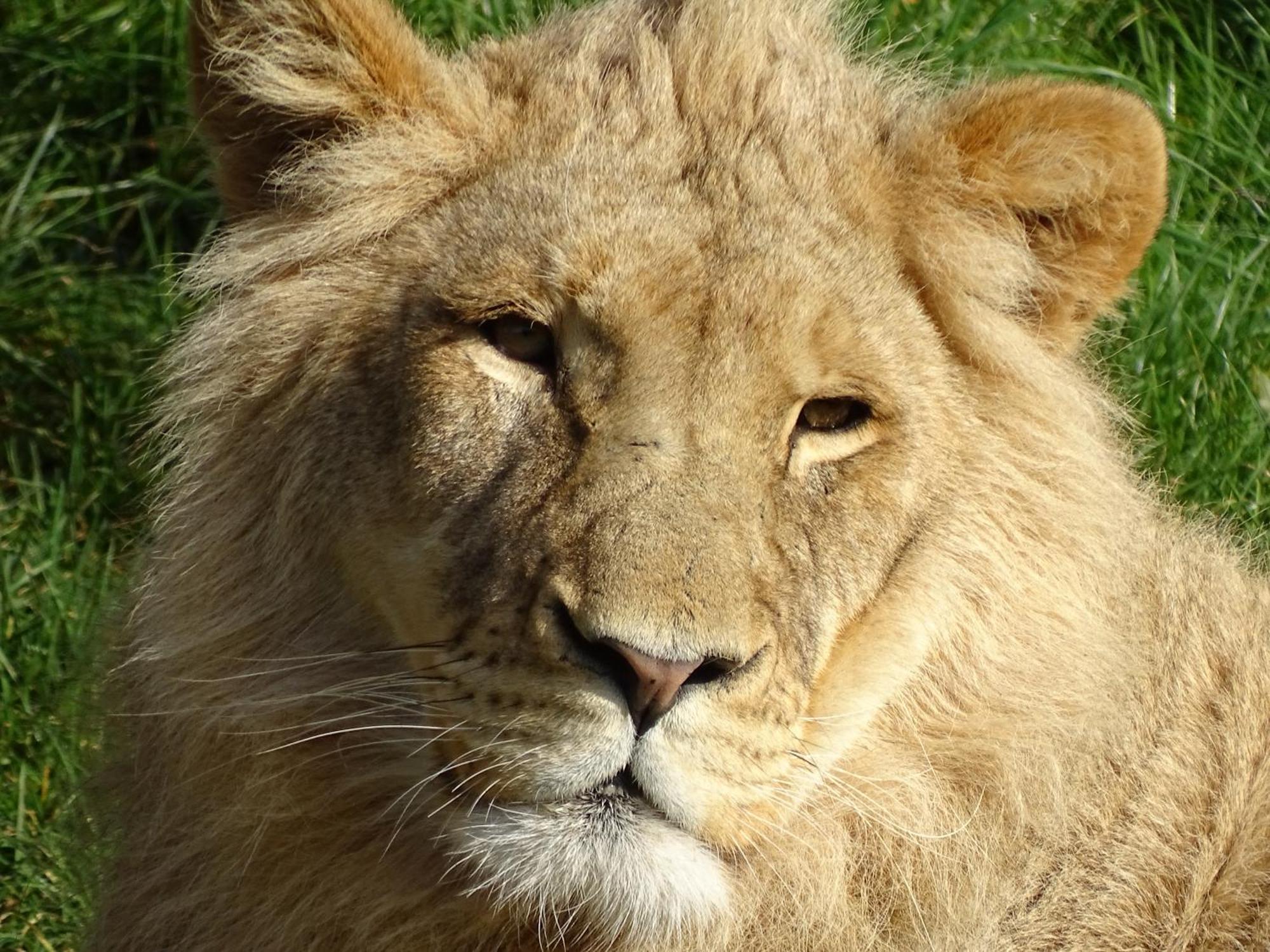 Trainefeuilles - Chambres D'Hotes Proche Zoo De Beauval Le Controis-en-Sologne 外观 照片