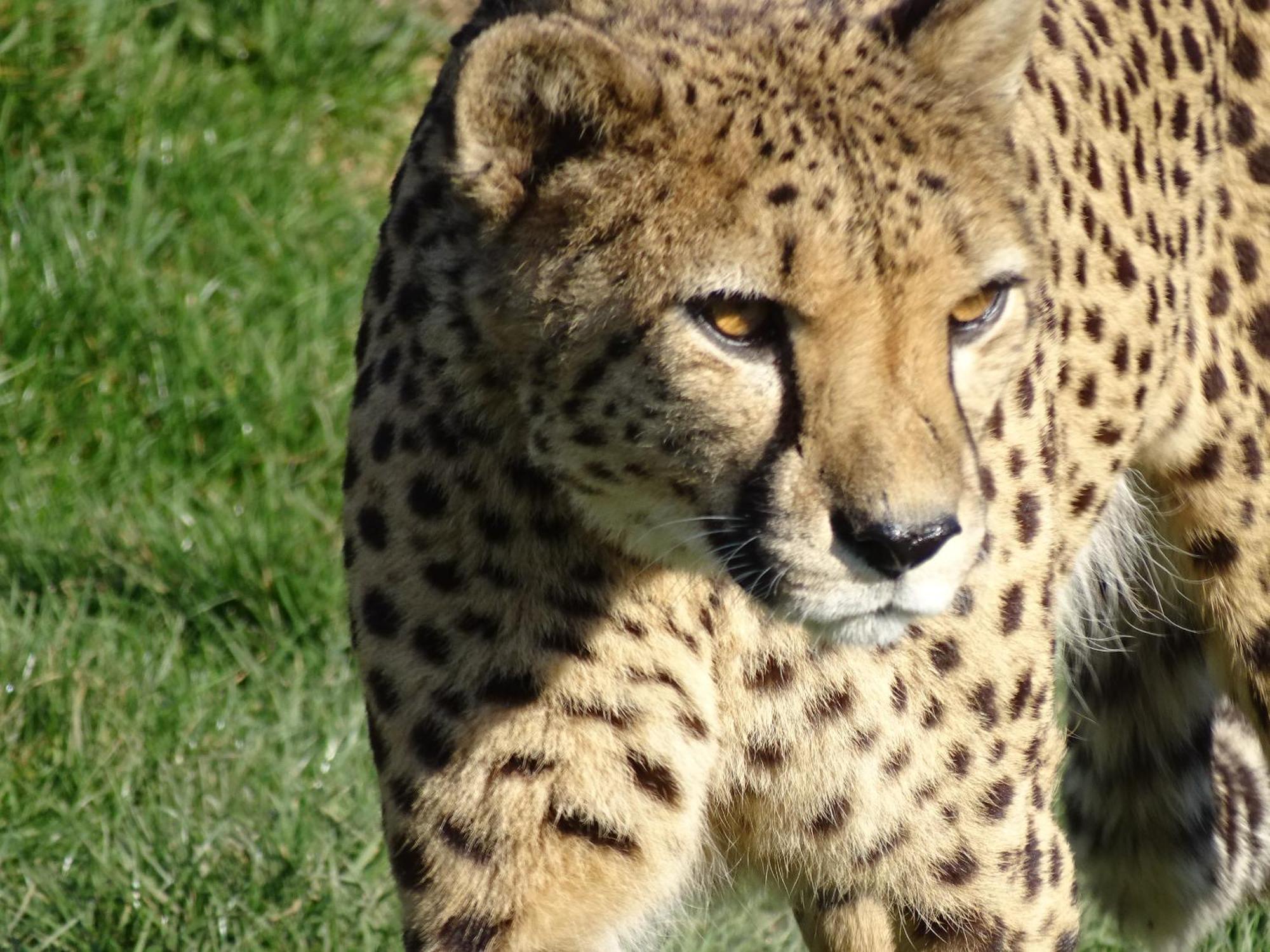 Trainefeuilles - Chambres D'Hotes Proche Zoo De Beauval Le Controis-en-Sologne 外观 照片