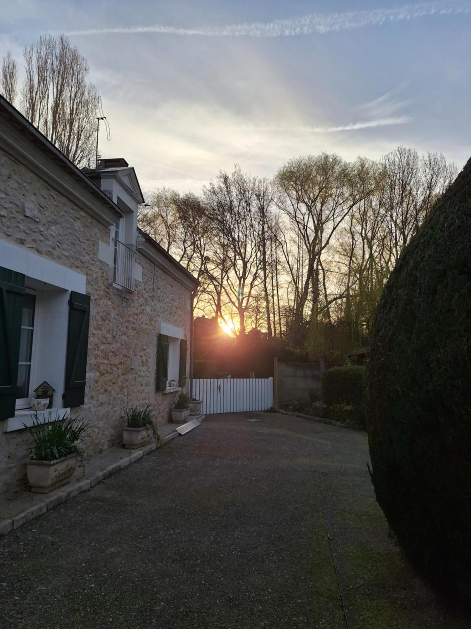 Trainefeuilles - Chambres D'Hotes Proche Zoo De Beauval Le Controis-en-Sologne 外观 照片