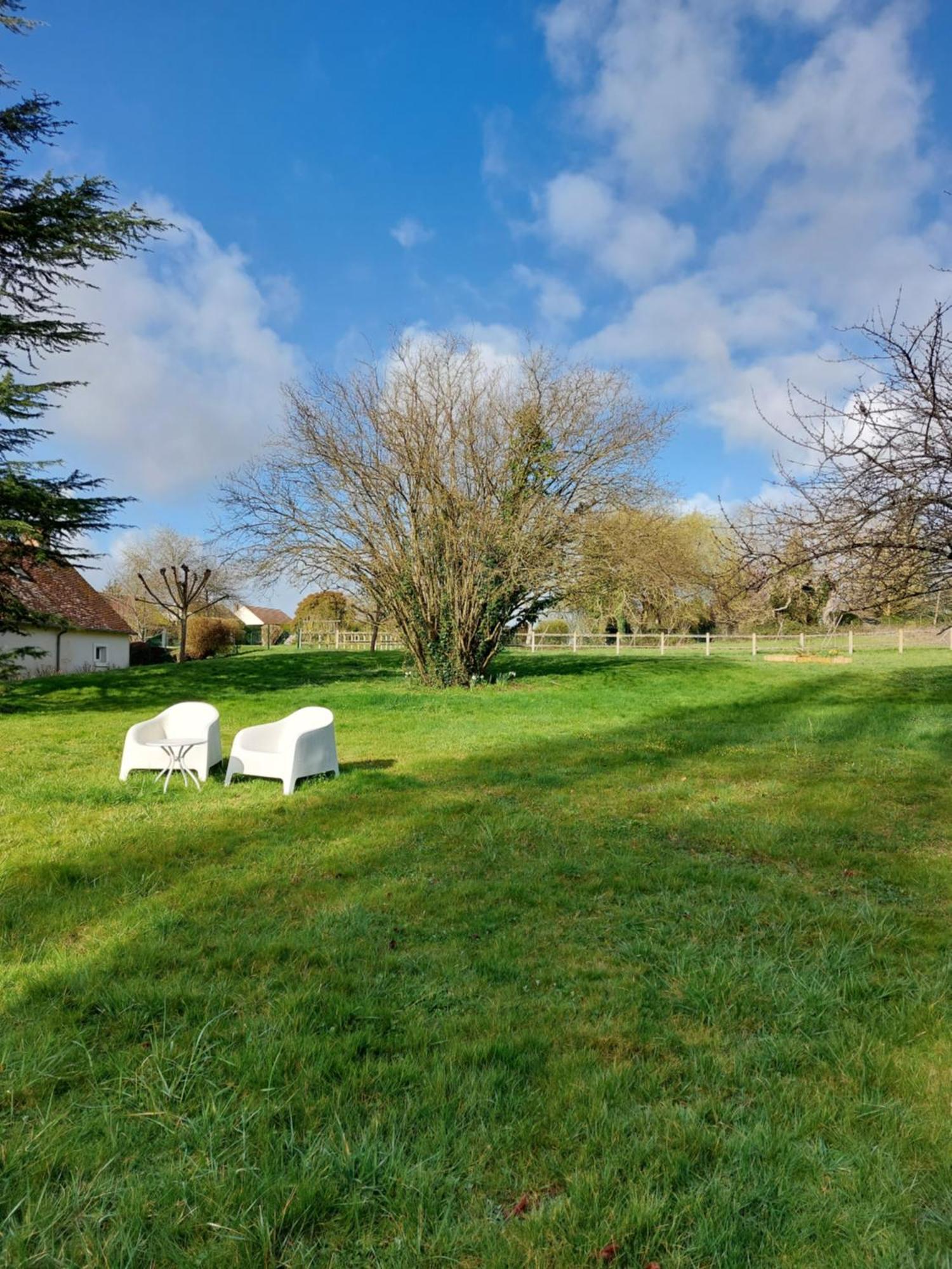 Trainefeuilles - Chambres D'Hotes Proche Zoo De Beauval Le Controis-en-Sologne 外观 照片